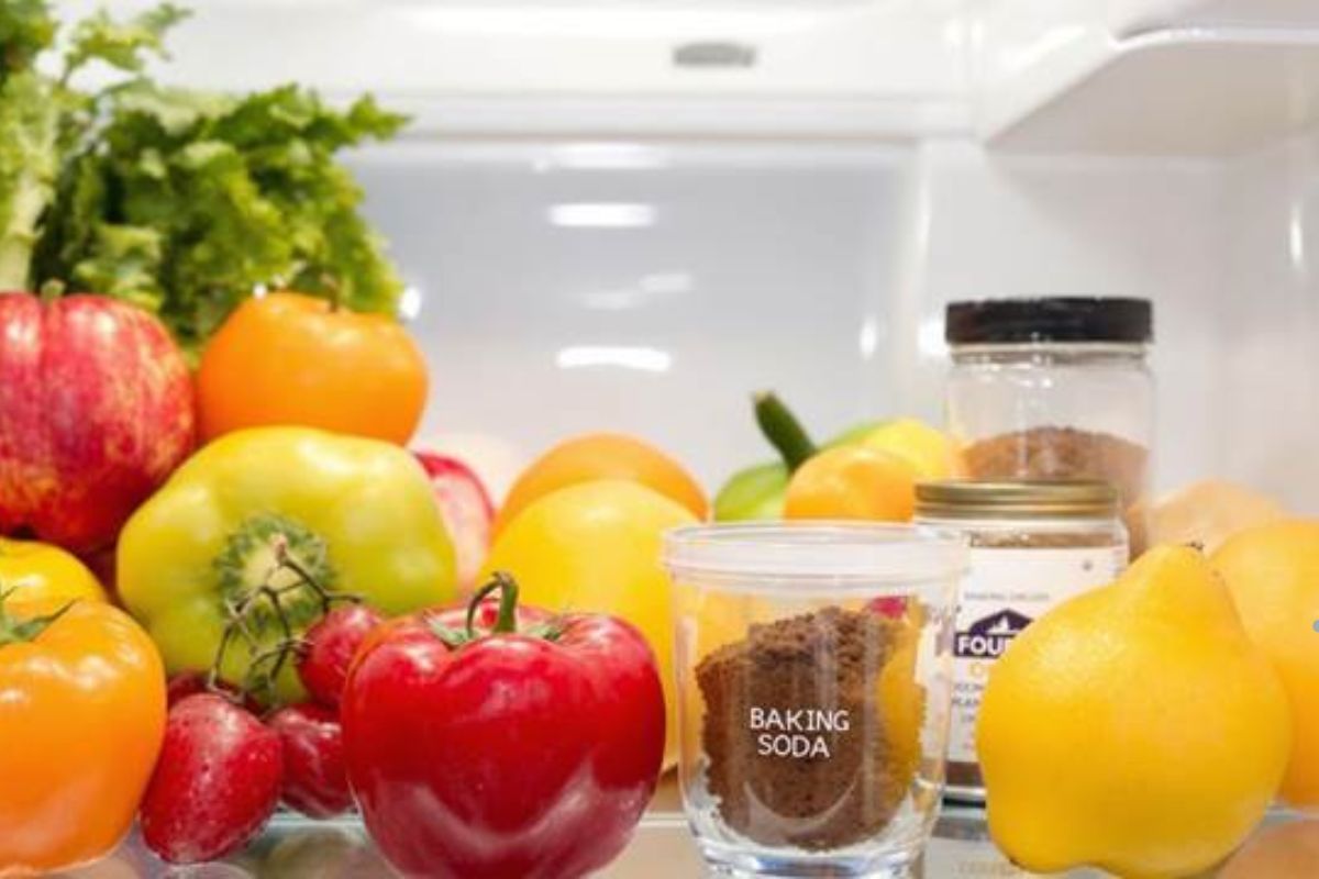 A refrigerator brimming with fresh fruits and vegetables, showcasing the importance of proper appliance maintenance.